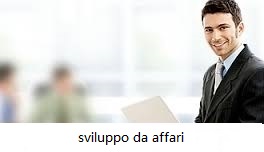 Desenvolvimento de Negócios